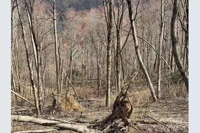 Lot #39 Ridge Top Circle, Clyde, NC 28721 - Photo 24