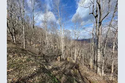 Lot #39 Ridge Top Circle, Clyde, NC 28721 - Photo 30