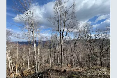 Lot #39 Ridge Top Circle, Clyde, NC 28721 - Photo 2