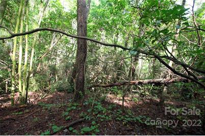 Lot 19 Gastons Bee Gum Road #19, Brevard, NC 28712 - Photo 4