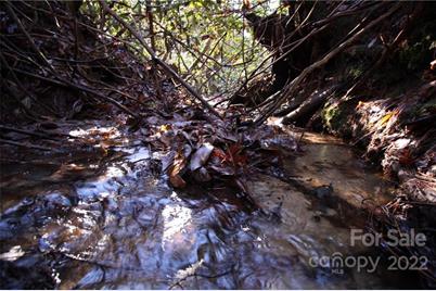 Lot 19 Gastons Bee Gum Road #19, Brevard, NC 28712 - Photo 8