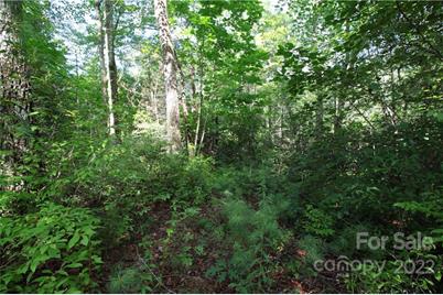 Lot 19 Gastons Bee Gum Road #19, Brevard, NC 28712 - Photo 10