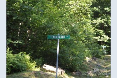 100 Tenderfoot Trail #100 & 101, Maggie Valley, NC 28751 - Photo 4
