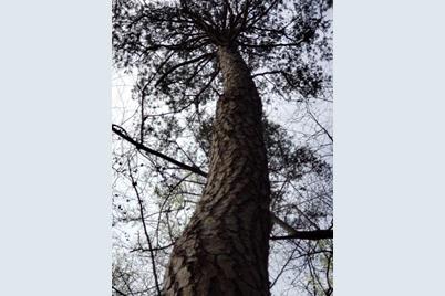 0 Deal Road, Mooresville, NC 28115 - Photo 28