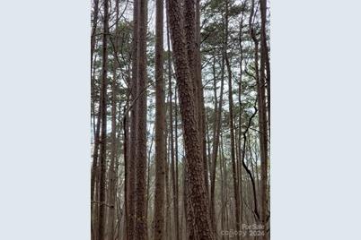 0 Deal Road, Mooresville, NC 28115 - Photo 24