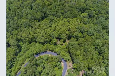 0 Mills River Way #53R, Horse Shoe, NC 28742 - Photo 6