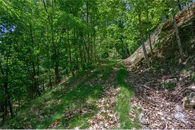 0 Mills River Way #53R, Horse Shoe, NC 28742 - Photo 12