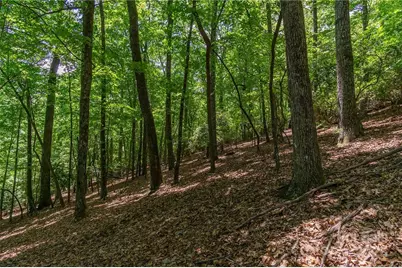 0 Mills River Way #53R, Horse Shoe, NC 28742 - Photo 8