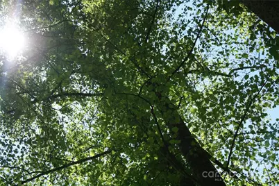 Tbd Greenyard Trail #7, Candler, NC 28715 - Photo 10