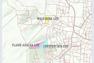 Tbd Greenyard Trail #7, Candler, NC 28715 - Photo 2