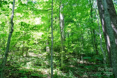 Tbd Greenyard Trail #7, Candler, NC 28715 - Photo 20