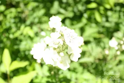 Tbd Greenyard Trail #7, Candler, NC 28715 - Photo 4