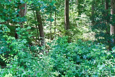 Tbd Greenyard Trail #7, Candler, NC 28715 - Photo 14
