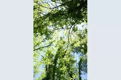 Tbd Greenyard Trail #2, Candler, NC 28715 - Photo 6