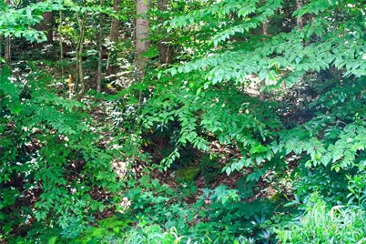 Tbd Greenyard Trail #2, Candler, NC 28715 - Photo 12