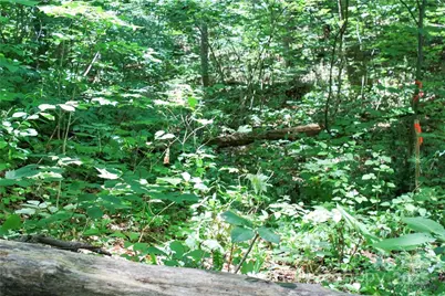 Tbd Greenyard Trail #2, Candler, NC 28715 - Photo 18