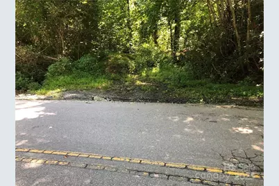 10 Acres Charlotte Highway, Asheville, NC 28803 - Photo 26