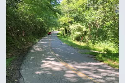 10 Acres Charlotte Highway, Asheville, NC 28803 - Photo 28