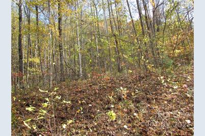 E- 8 Red Wolf Run None, Mars Hill, NC 28754 - Photo 4