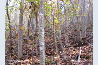 E- 13 Red Wolf Run None, Mars Hill, NC 28754 - Photo 8