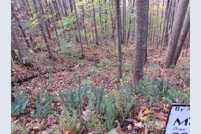E- 15 Red Wolf Run None, Mars Hill, NC 28754 - Photo 2
