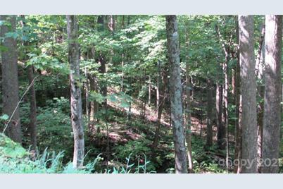 E- 17 Red Wolf Run None, Mars Hill, NC 28754 - Photo 8