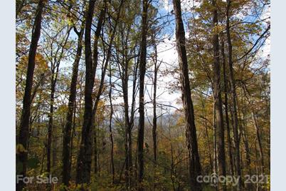 E- 20 Red Wolf Run None, Mars Hill, NC 28754 - Photo 8