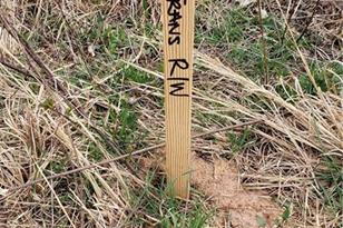 777 Windslow Ave, Gaffney, SC 29341 - Photo 26