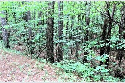 0 Chasewood Drive #16, Rutherfordton, NC 28139 - Photo 8