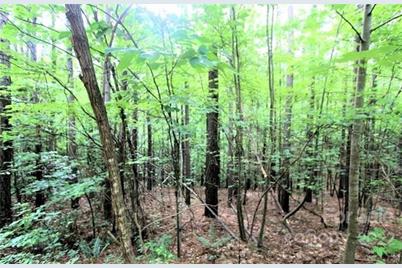 0 Chasewood Drive #16, Rutherfordton, NC 28139 - Photo 2