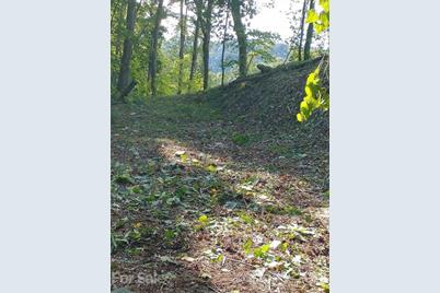 375 Buck Drive, Hot Springs, NC 28743 - Photo 6