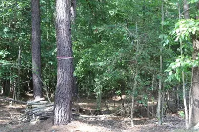 218 Table Rock Trace NW #166, Valdese, NC 28690 - Photo 10