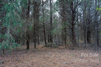 9 Ac Burree Road, Clover, SC 29710 - Photo 16