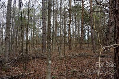 9 Ac Burree Road, Clover, SC 29710 - Photo 20