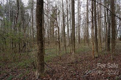 9 Ac Burree Road, Clover, SC 29710 - Photo 4