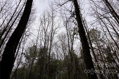 9 Ac Burree Road, Clover, SC 29710 - Photo 22