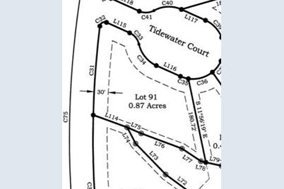 Lot 91 Tidewater Court #91, Norwood, NC 28128 - Photo 2
