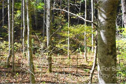 444 Culvin Creek Road #145 ACRES, Marshall, NC 28753 - Photo 1