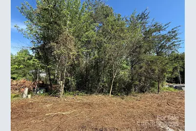 Lot 29 Wittenburg Springs Drive #029, Taylorsville, NC 28681 - Photo 2