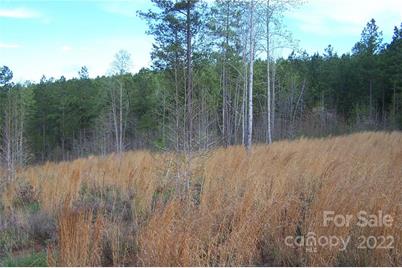 Tract 3 County Line Road, Mill Spring, NC 28756 - Photo 4