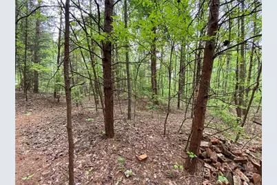 00 Sunrise Trail, Lincolnton, NC 28092 - Photo 42