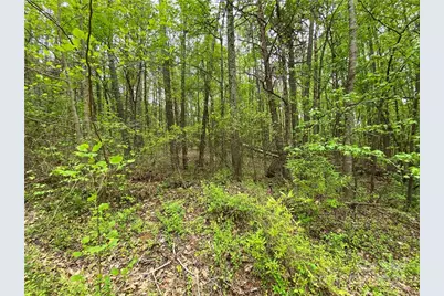 00 Sunrise Trail, Lincolnton, NC 28092 - Photo 10