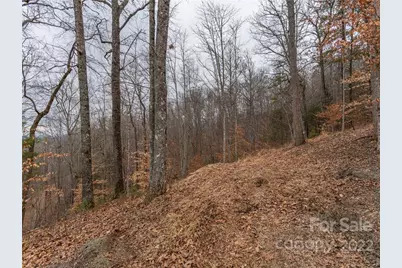 189 Sandys Home Place #Lot 7B, Mars Hill, NC 28754 - Photo 6
