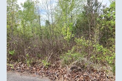 V/L Horseshoe Trail #35, Connelly Springs, NC 28612 - Photo 2