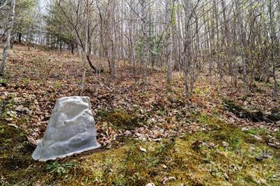 808 Stoney Stream Lane, Arden, NC 28704 - Photo 8