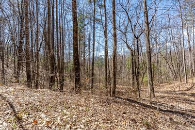 99999 Bartlett Mountain Road #11A, Asheville, NC 28805 - Photo 16