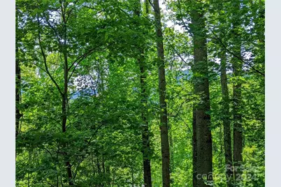 11 Trout Lily Lane #11, Maggie Valley, NC 28751 - Photo 8