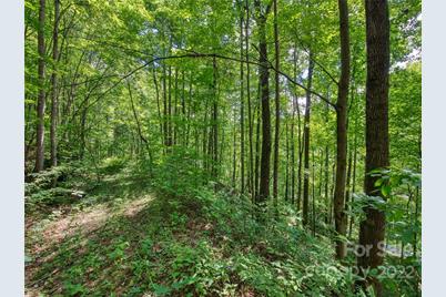 00 Reo Drive, Waynesville, NC 28785 - Photo 14