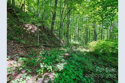 00 Reo Drive, Waynesville, NC 28785 - Photo 12