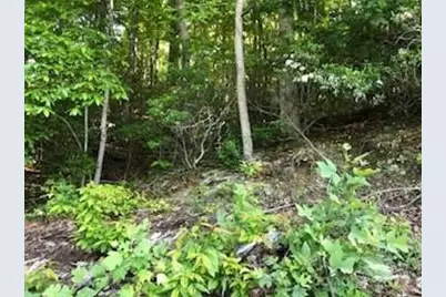 00 Buckeye Drive #35, Waynesville, NC 28786 - Photo 12